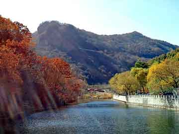 新澳天天开奖资料大全旅游团，站群功能